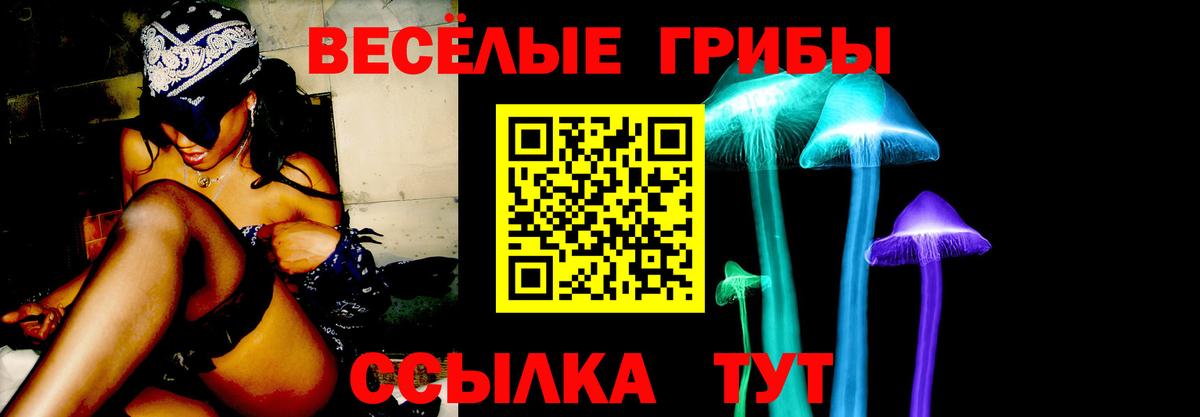 Псилоцибиновые грибы Cubensis Усть-Илимск